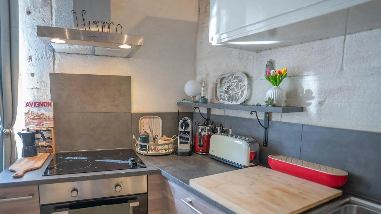 Duplex Calme Et Climatise Au Centre Historique Apartment Avignon