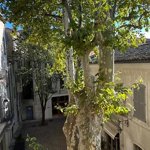 La Charmante Du Palais Des Papes Appartement